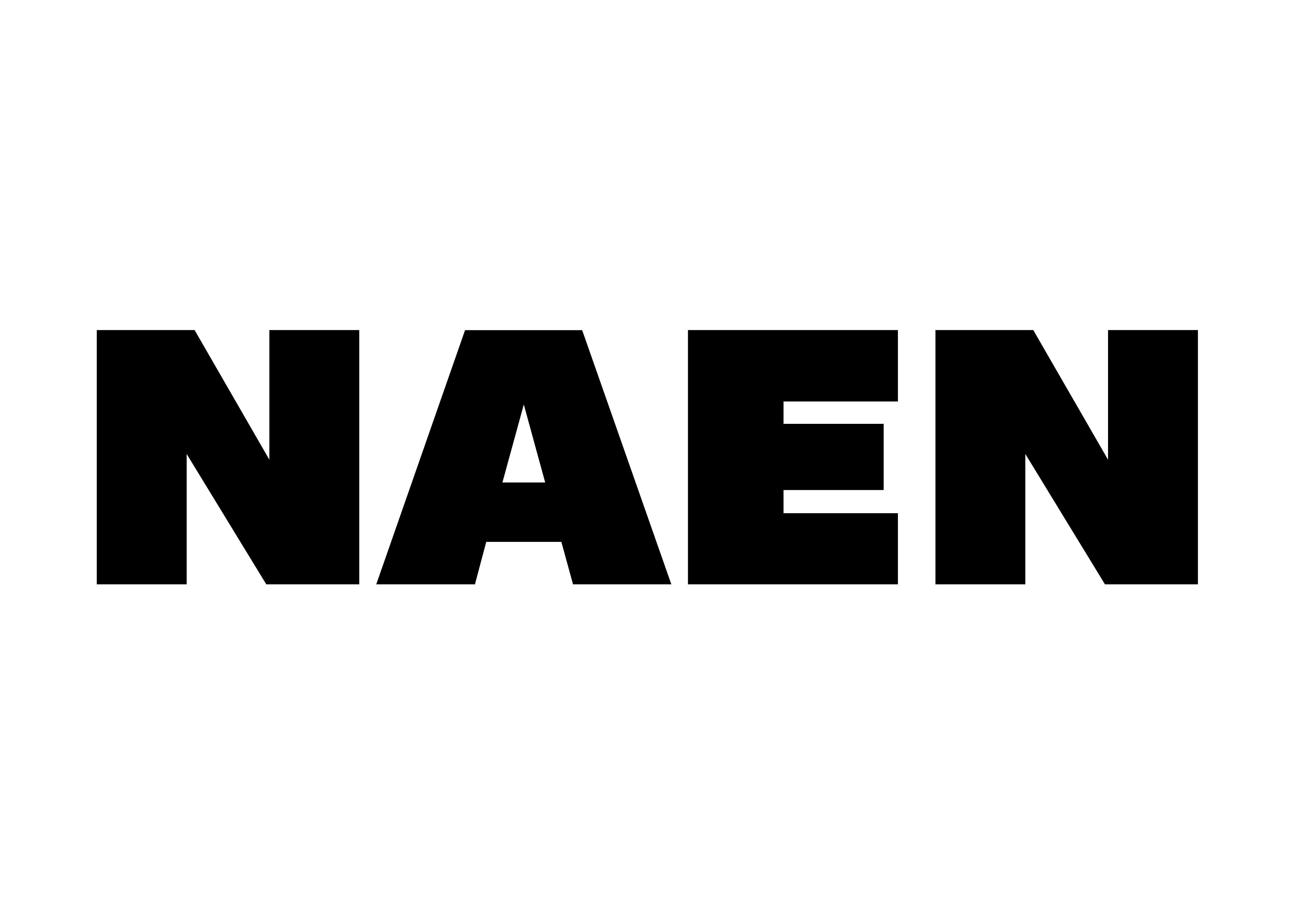 NAEN Logo